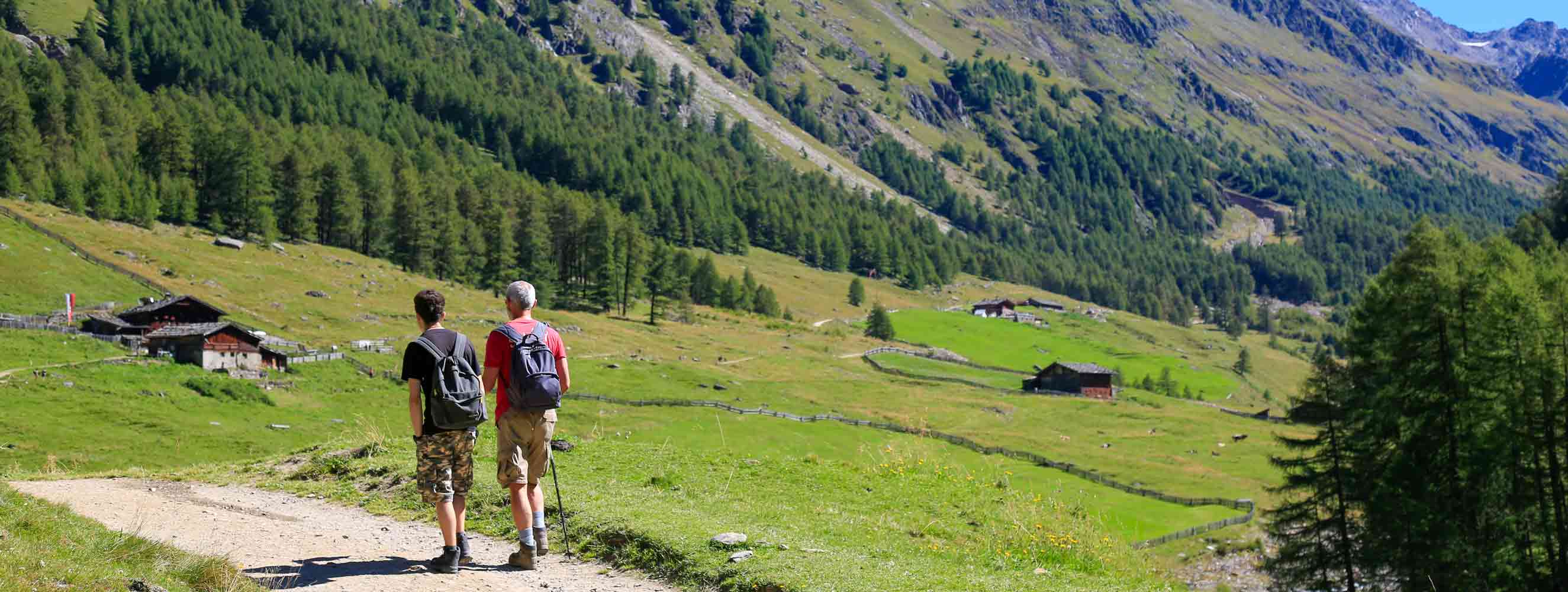 Wandern im Schnalstal in Südtirol